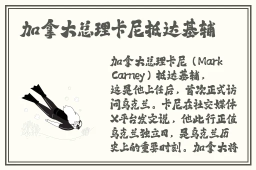 老卫淑容