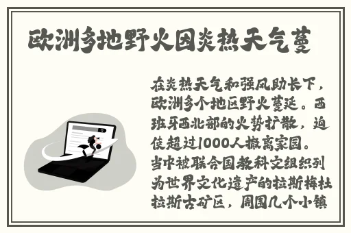 老牛一线二线